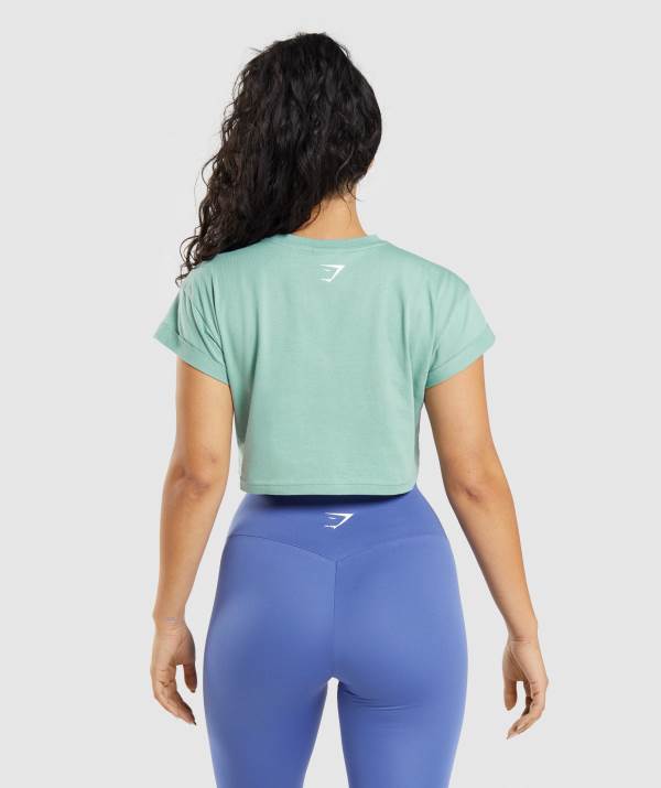 Damske Crop Top Gymshark Fraction Modre | YN6104275